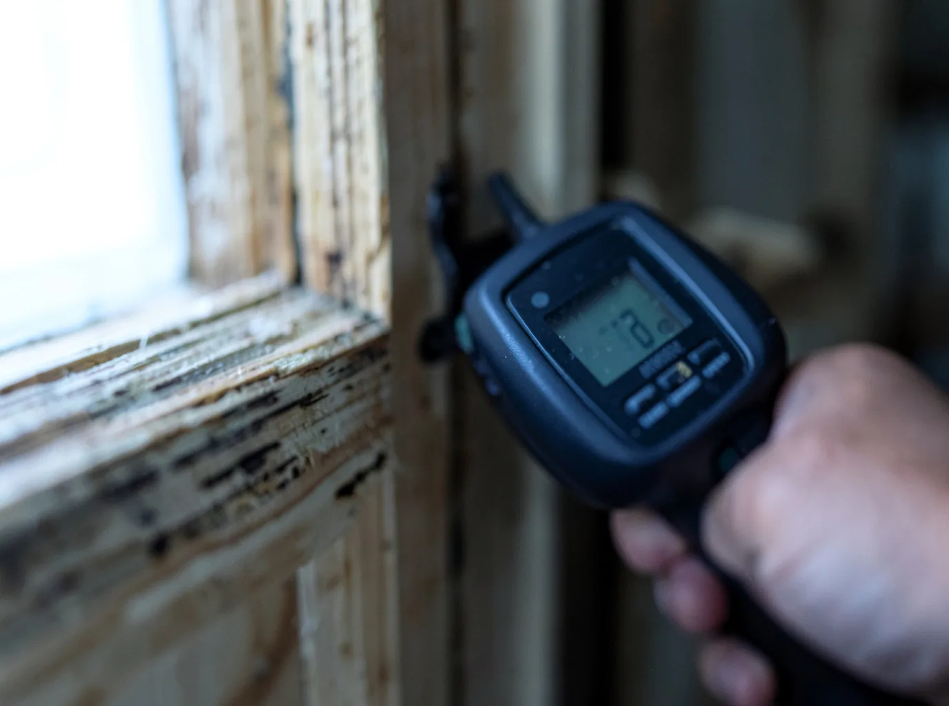 Moisture Inspection And Documentation in Stewardson, IL